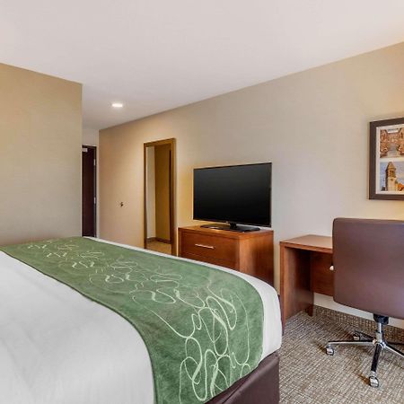 Comfort Inn & Suites Schenectady - Scotia Buitenkant foto