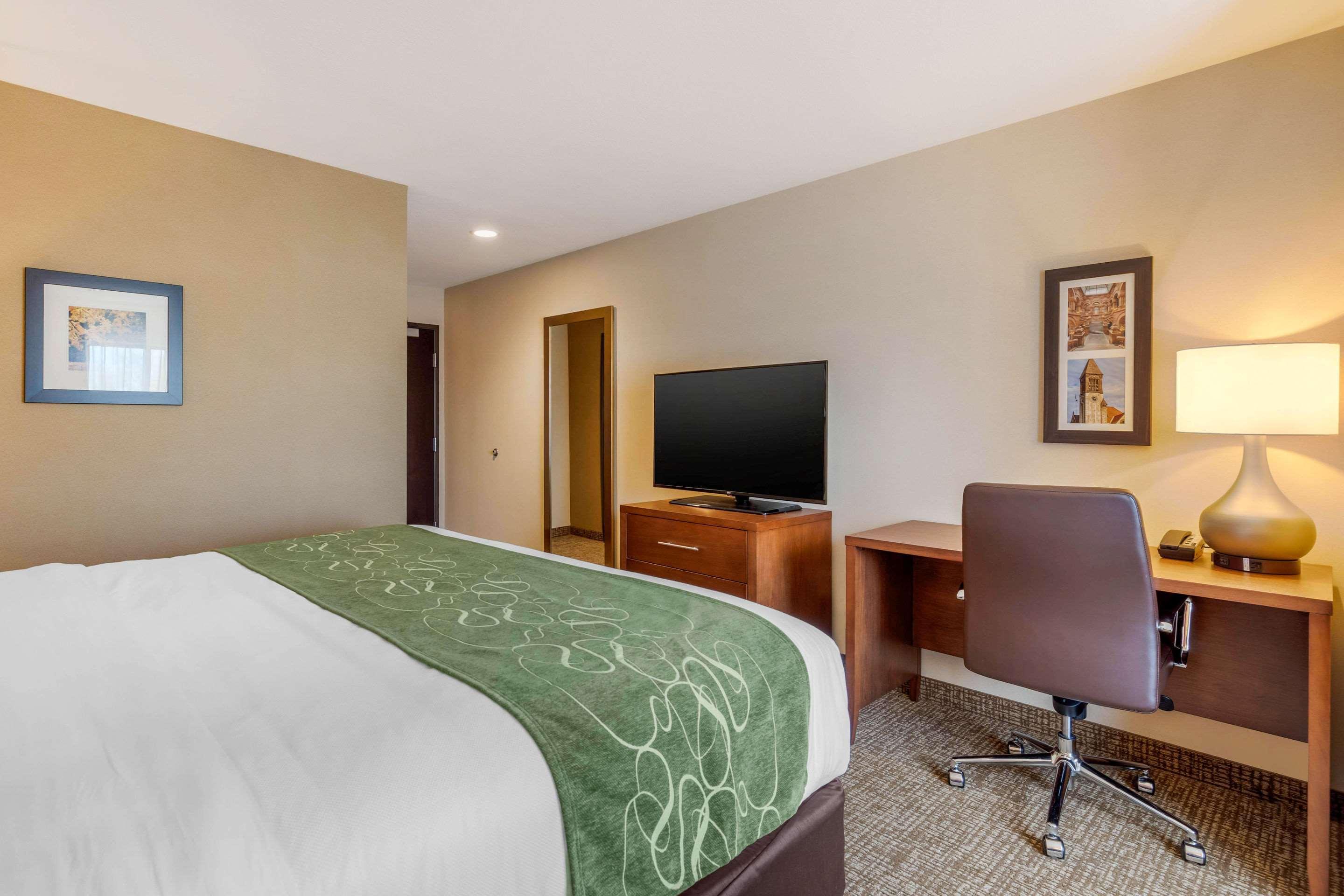 Comfort Inn & Suites Schenectady - Scotia Buitenkant foto