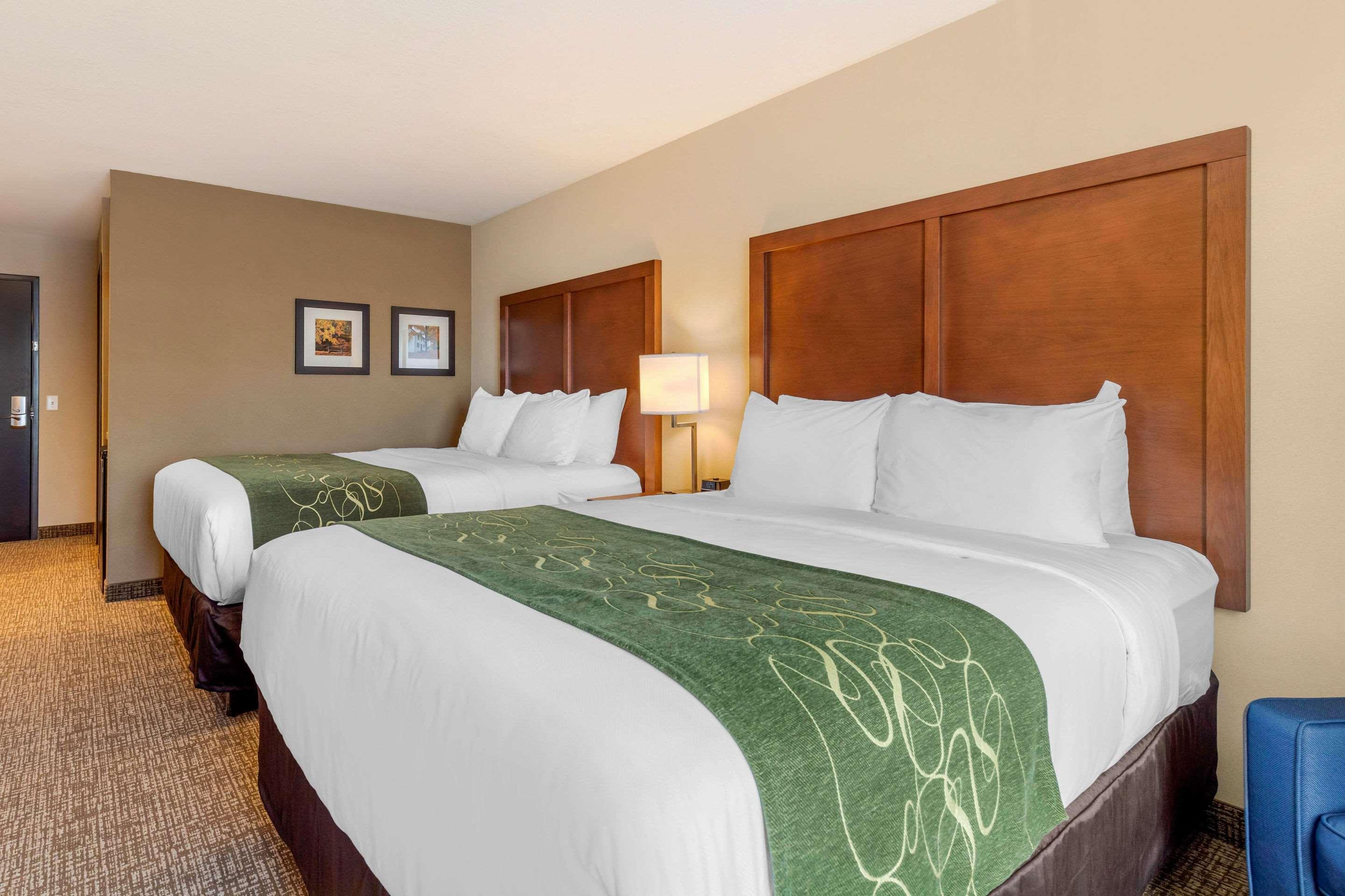 Comfort Inn & Suites Schenectady - Scotia Buitenkant foto