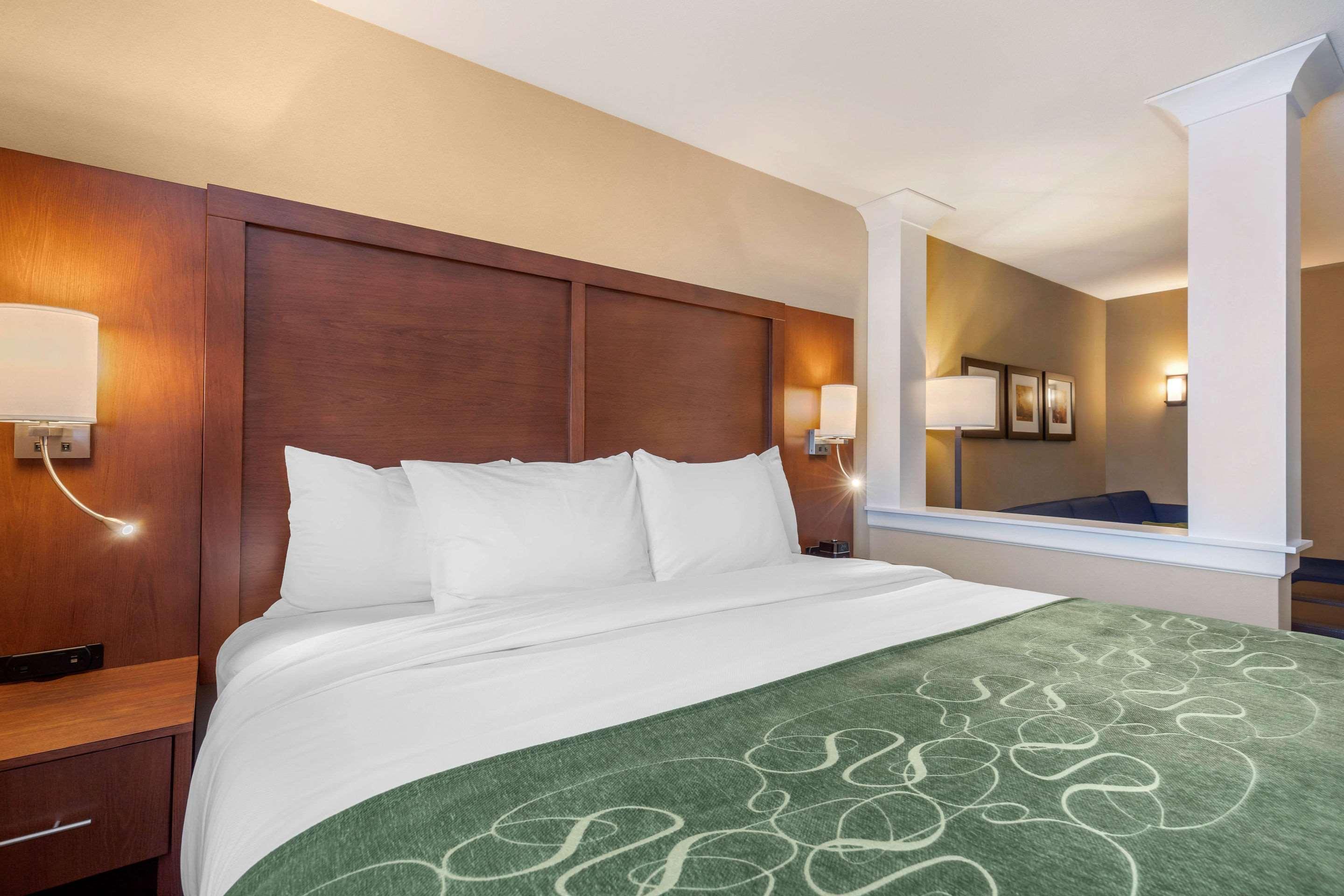 Comfort Inn & Suites Schenectady - Scotia Buitenkant foto