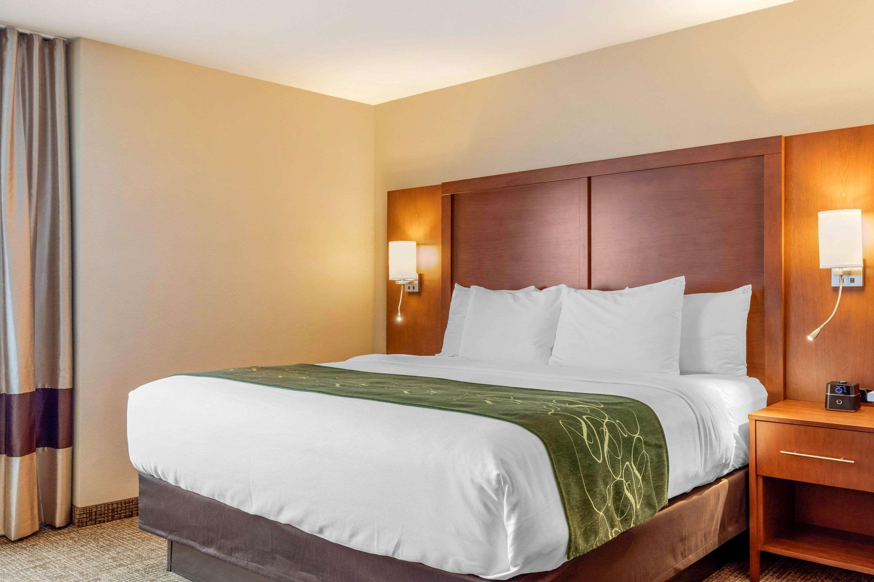 Comfort Inn & Suites Schenectady - Scotia Buitenkant foto