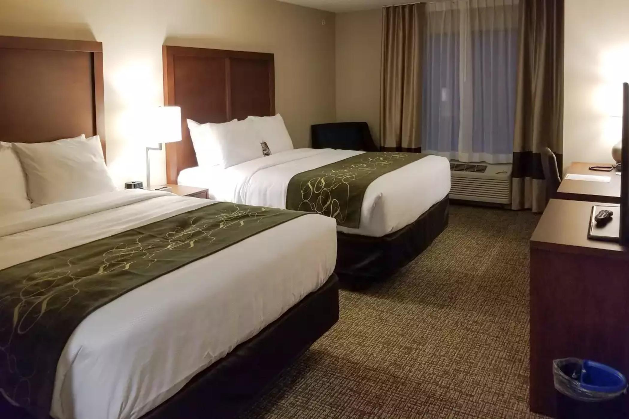 Comfort Inn & Suites Schenectady - Scotia Buitenkant foto