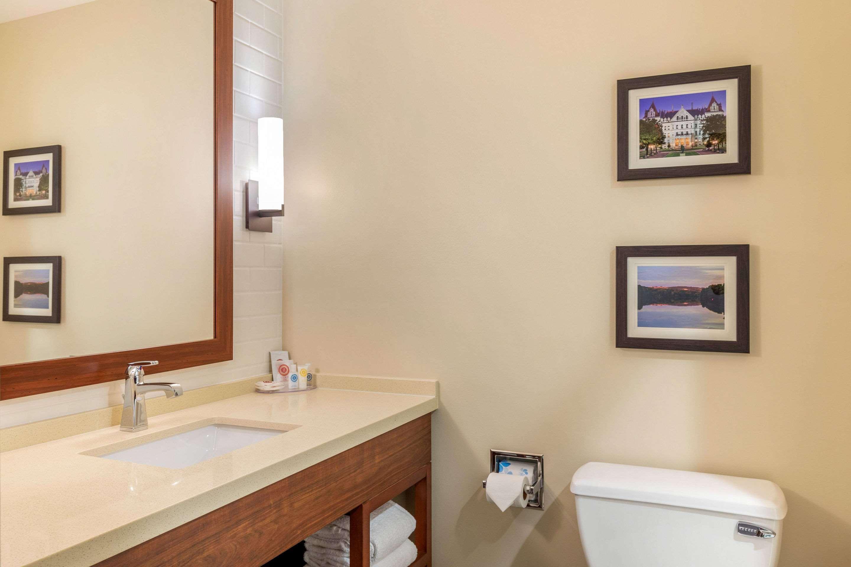 Comfort Inn & Suites Schenectady - Scotia Buitenkant foto