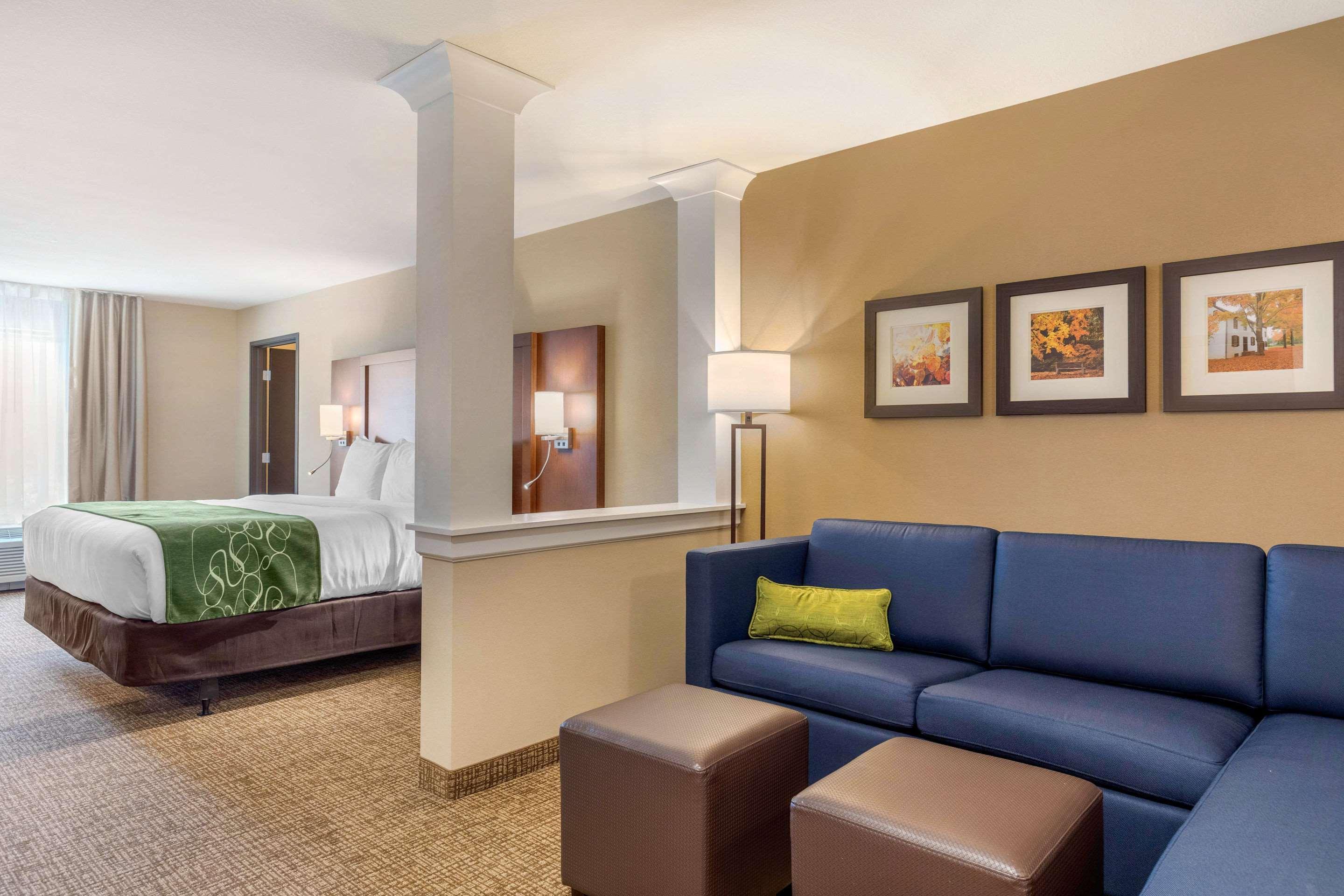 Comfort Inn & Suites Schenectady - Scotia Buitenkant foto