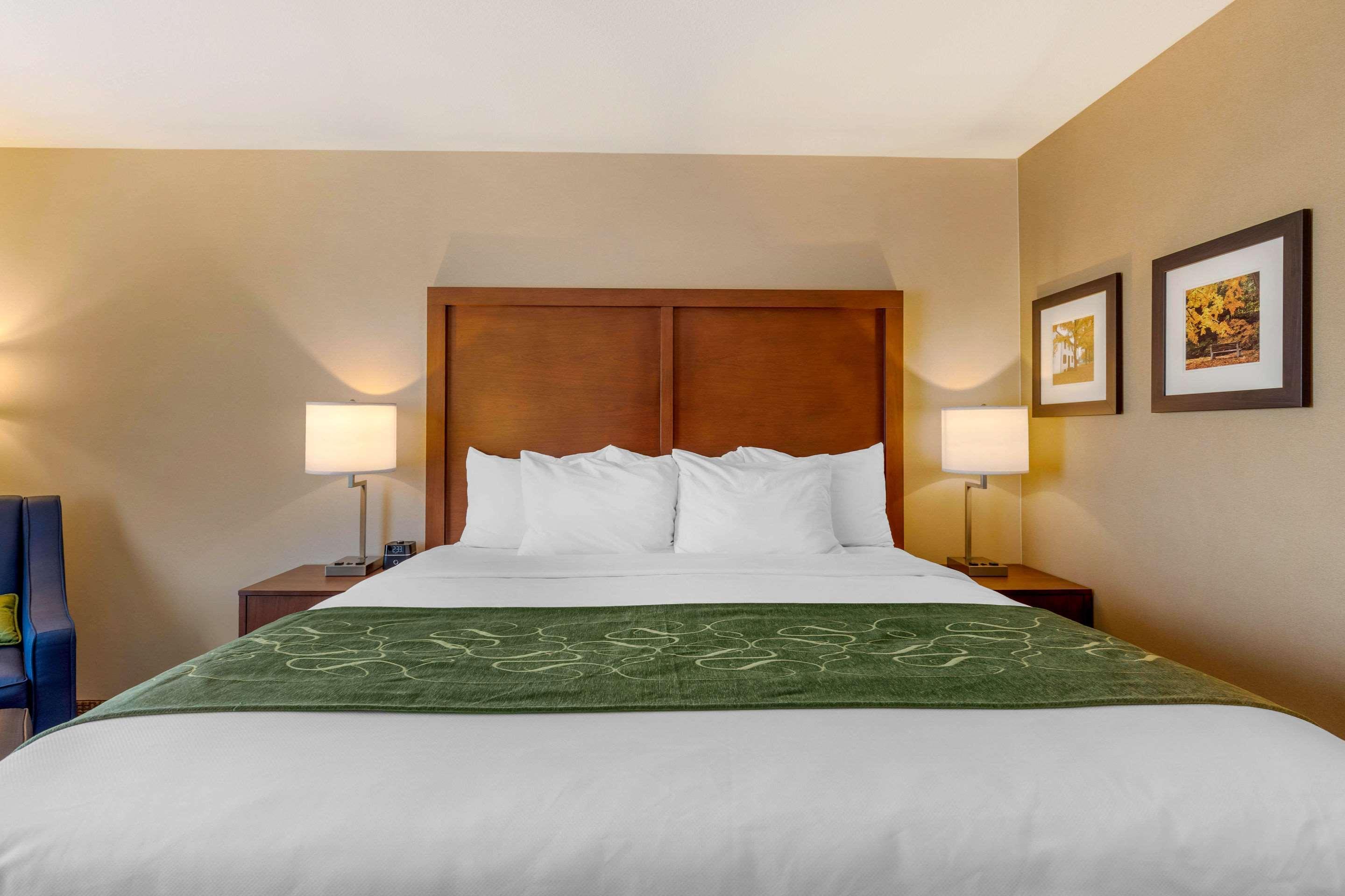 Comfort Inn & Suites Schenectady - Scotia Buitenkant foto