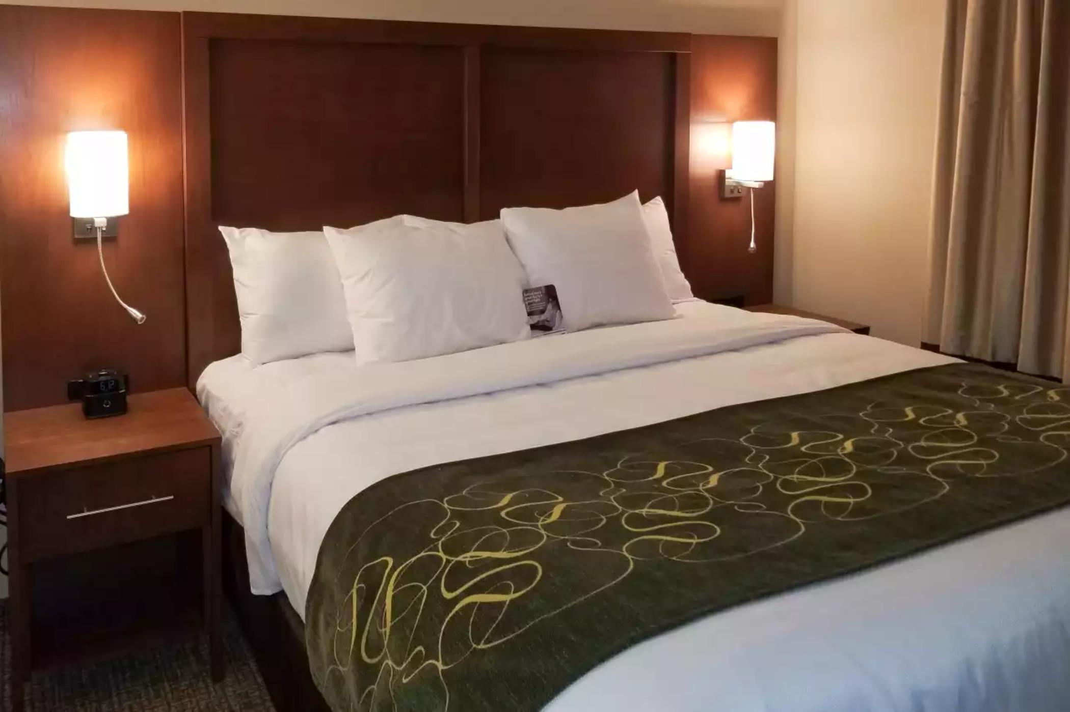 Comfort Inn & Suites Schenectady - Scotia Buitenkant foto