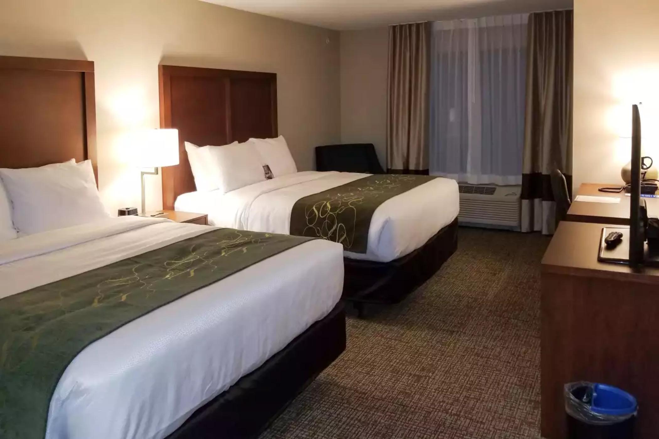 Comfort Inn & Suites Schenectady - Scotia Buitenkant foto