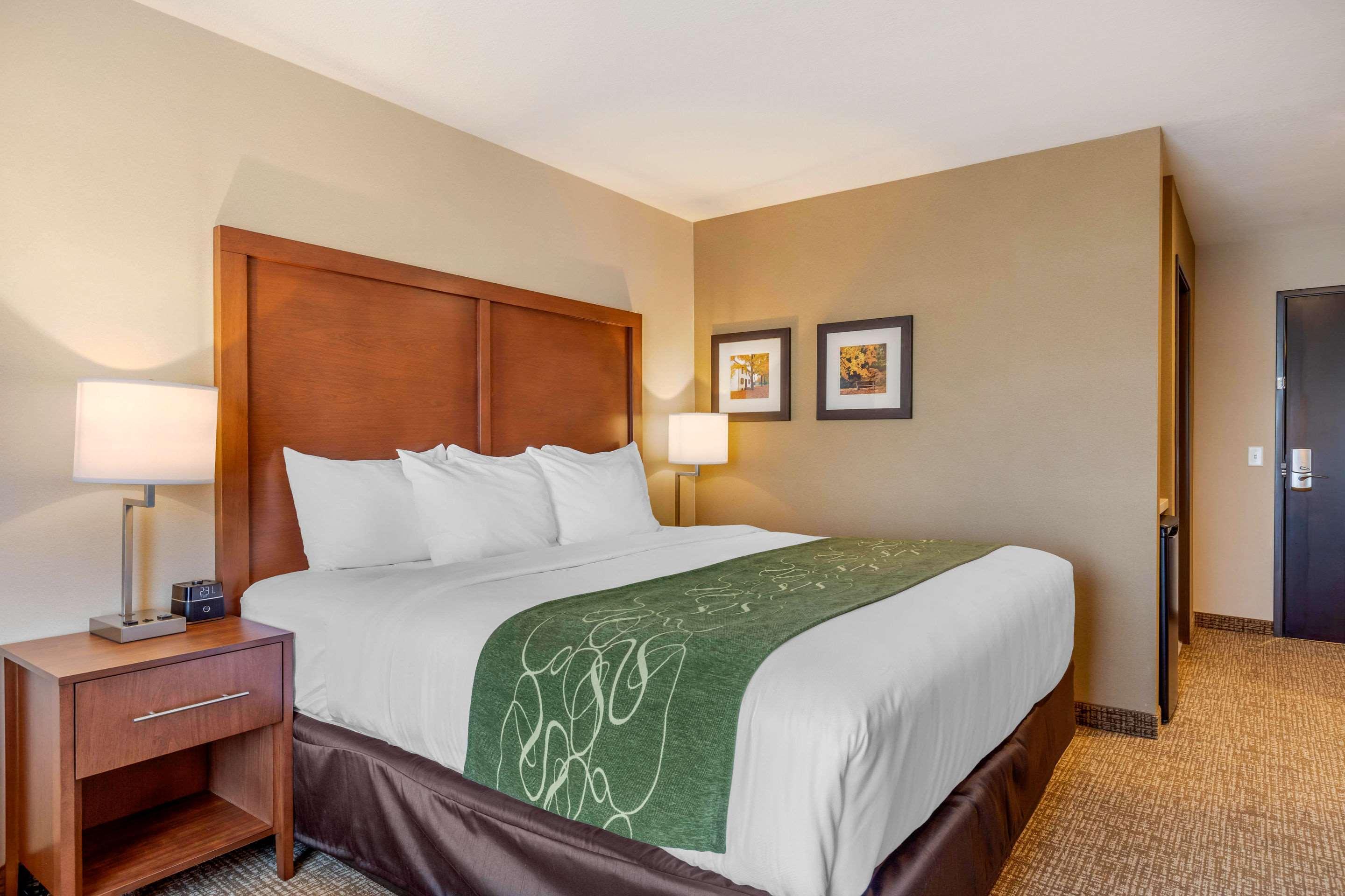 Comfort Inn & Suites Schenectady - Scotia Buitenkant foto