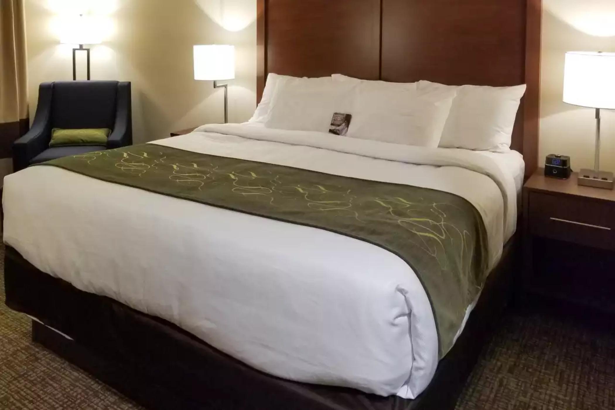 Comfort Inn & Suites Schenectady - Scotia Buitenkant foto