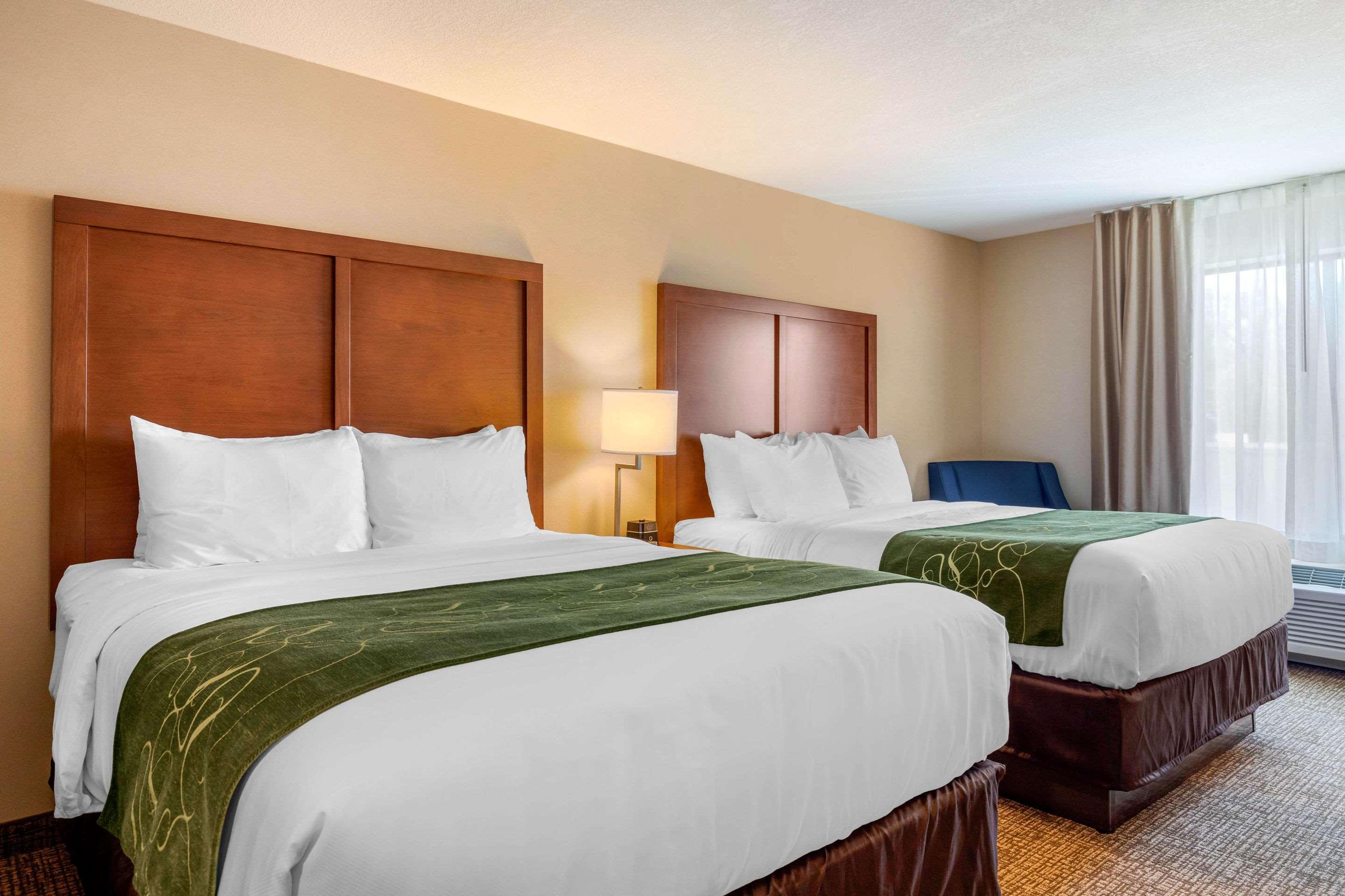 Comfort Inn & Suites Schenectady - Scotia Buitenkant foto