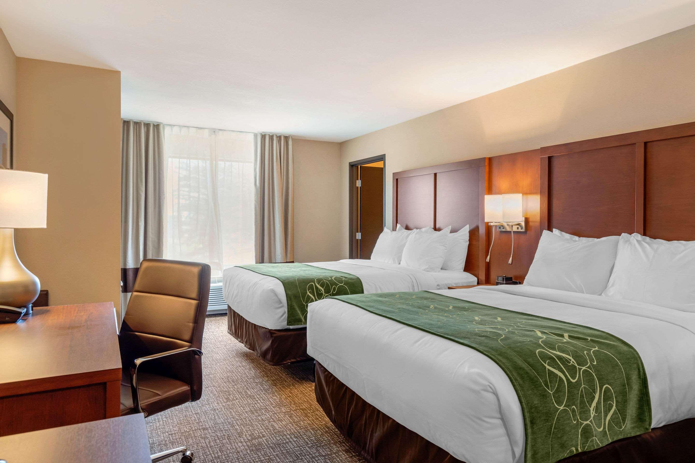 Comfort Inn & Suites Schenectady - Scotia Buitenkant foto