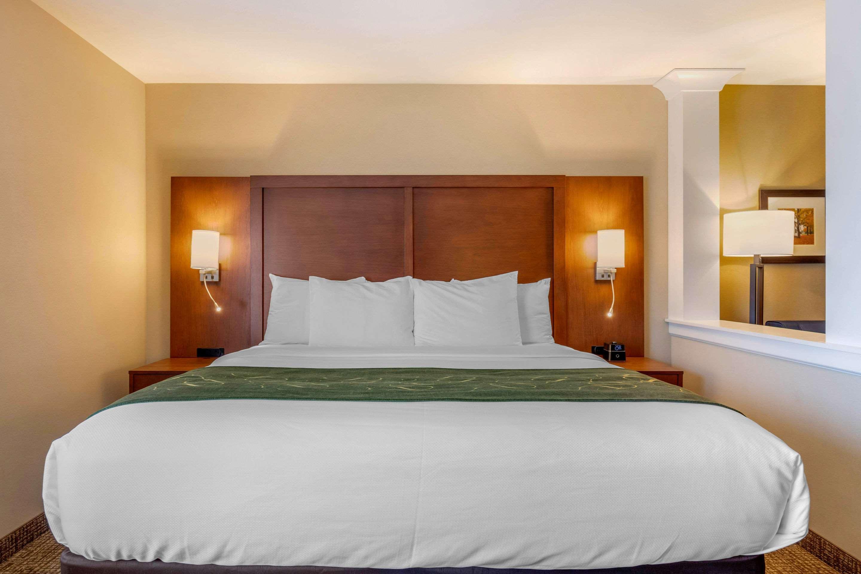 Comfort Inn & Suites Schenectady - Scotia Buitenkant foto