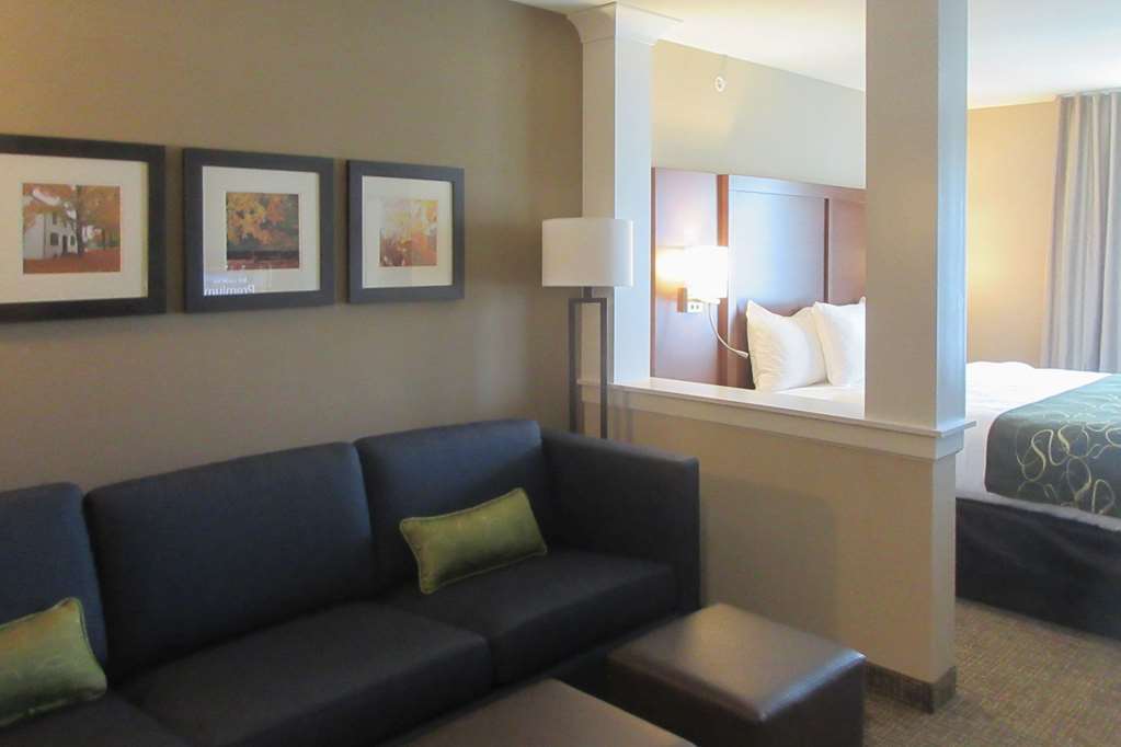 Comfort Inn & Suites Schenectady - Scotia Kamer foto
